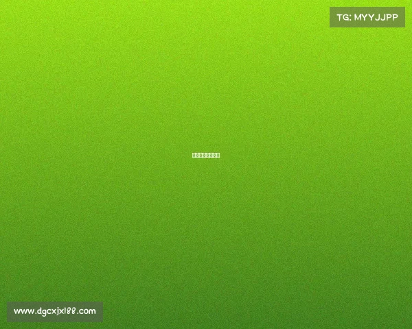 近几年大满贯冠军